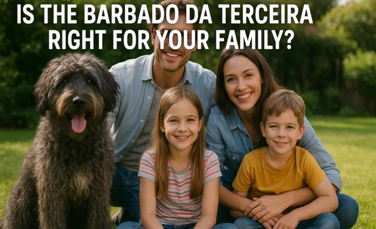 Is the Barbado da Terceira Right for Your Family?